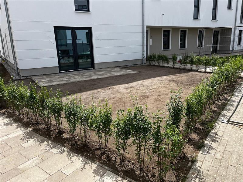 Ist möglicherweise ein Bild von Gras